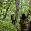 芒種の四国カルスト遊山　水を頂く