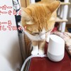 Ok,Google！にゃんこたちの血液検査お願い！って時代がやってくるかな？