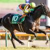 競馬初心者必見☆馬券予想🔥〜ダイヤモンドS〜スタミナ自慢が集結！金色の立髪が靡く〜