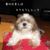 早かね〜。