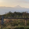 露天風呂で日の出を拝む！ほったらかし温泉