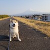 西伊豆の雲見地区へ絶景を見に行こう。