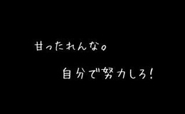 記事を見る