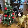 我が家のクリスマスツリーはコーナンと楽天で調達