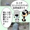 冬の鳥たち