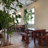 福岡、糸島のpetani coffeeさんへ。