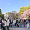 🌸上野恩賜公園　先日の様子です😊