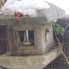 怪我したり寝込んだり 散々な一年だった