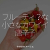 1413食目「フルーティ？な小さなカワイイ唐辛子」その名はビキーニョ。