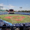 全国高校野球 第99回 地方大会 「東東京大会」の応援に行ってきまし