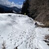 なにはともあれ楽しかった一日