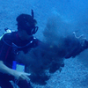 縦穴に浮上。ランチも食べる。タコも見る。