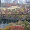  大阪城と紅葉