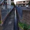 愛しい水よ