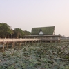 タイで３番目に大きな蓮沼「ブンシーファイ公園บึงสีไฟ」