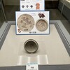 991飛鳥時代の狸の足跡
