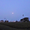 浜ちゃんの散歩道(３９２)　　　朝夕のお月さん薄すらと雲がかかったりして情緒があった、真っ白なモクレンにはしばし足を止めて眺めた