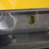 なんだか思っていた以上にくたくたになってしまった火曜日
