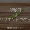 1585食目「3月8日はサヤエンドウの日」野菜と果物の記念日シリーズその6