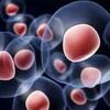 Stem Cell Banking Market Insights, Share, Growth Drivers and Future Scope