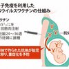 日本発狂、6月からスタート「RSワクチンで人口削減」