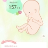 便秘は辛いよ★妊娠5ヶ月（17週4日）