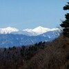 雪が降りました