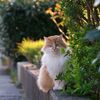 幸せの定義