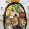 快晴だし、土曜日だし🏕️