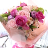 DAILY FLOWERS !!