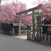 蔵前神社、ヤマザクラ咲く