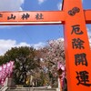 吹田市 片山神社の桜
