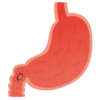 胃・十二指腸～手遅れになる前に検査で早期発見！元気を取り戻す！