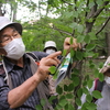 2022/06/05「牧野植物同好会 大和田緑地公園」