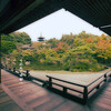 『江』ロケ地・仁和寺/御殿庭園北庭