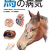 2021年 競馬が始まる W金杯