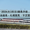 2024.8.18(日)競馬予想アップ【新潟競馬・札幌競馬・中京競馬】