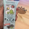 チョコミント 豆乳あいす