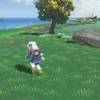 雑記(20220130)～Pokémon LEGENDS アルセウス　など