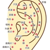 美顔はり灸は、耳ツボもついてきます