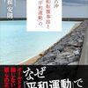 ようやく少し動いた辺野古船転覆事故