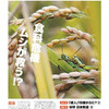 読売新聞、中高生向け新聞を11月創刊　子ども新聞からの継続狙う