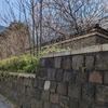 湯島坂（文京区）