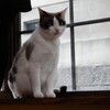 2021-11-11(Thu)