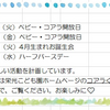 【コアラ】【ベビー】4月予定のお知らせ