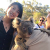 AussieでCozyな旅⑧ ~Koalaとの素敵な出会い~