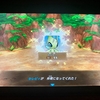 【ポケダンDX】 清らかな森攻略「リザードンで初クリア」