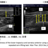 腕を反復挙上した際の超音波画像診断装置を用いた前鋸筋と僧帽筋の筋厚測定