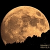 電視観望の記録4070(2024/9/17 中秋の名月と土星と飛行機と)