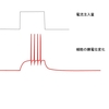 Current clamp法のデータの見方